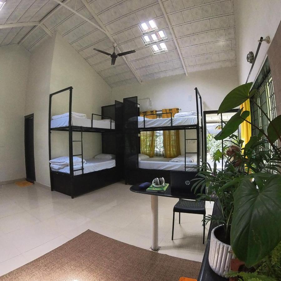Benomadic Eco Hostel, Madikeri, Coorg Suntikoppa ภายนอก รูปภาพ