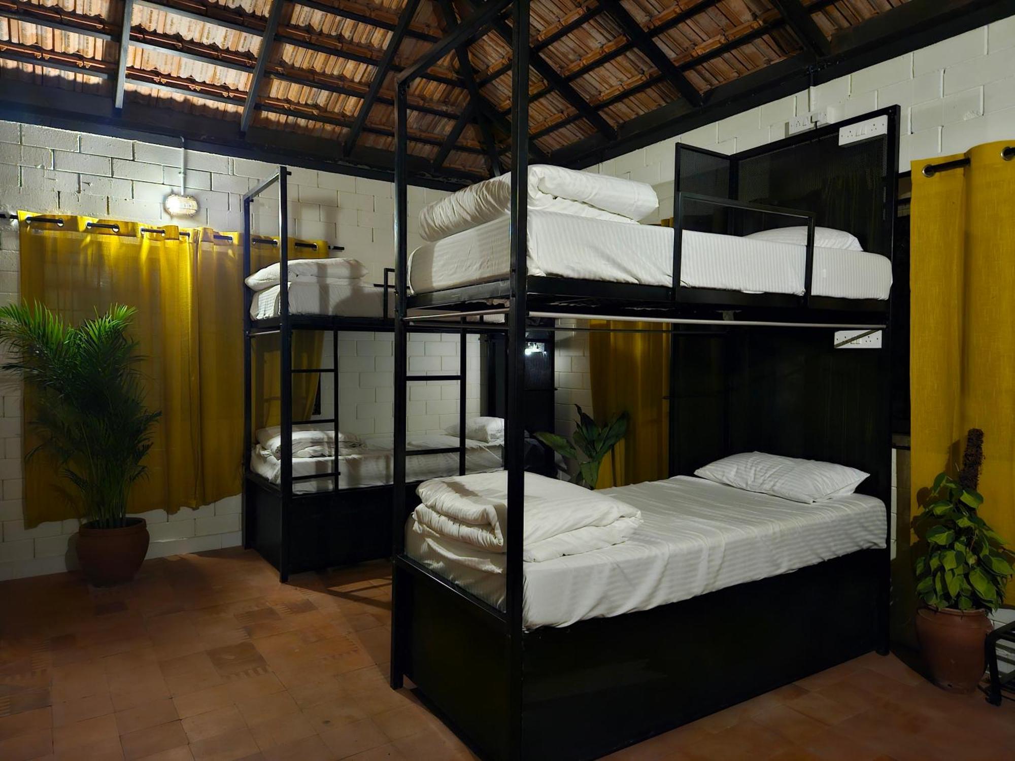 Benomadic Eco Hostel, Madikeri, Coorg Suntikoppa ภายนอก รูปภาพ