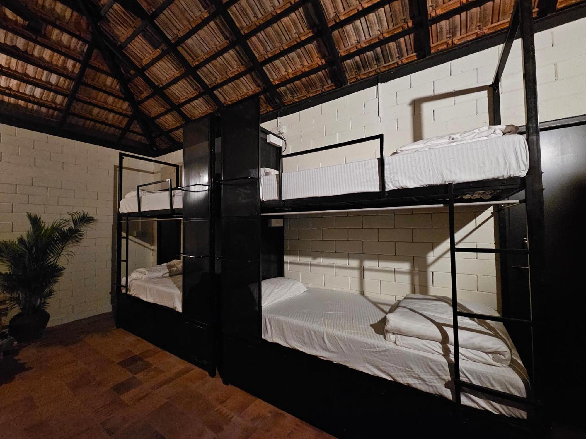 Benomadic Eco Hostel, Madikeri, Coorg Suntikoppa ภายนอก รูปภาพ